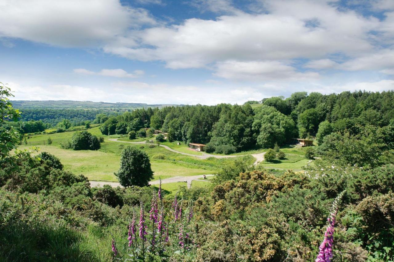Yorkshire Dales Lodge 10 Ensuite ริชมอนด์ ภายนอก รูปภาพ